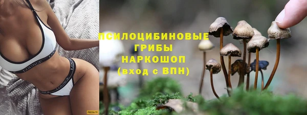 круглые Абаза