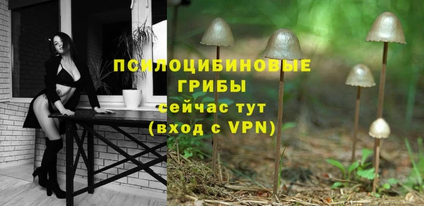 круглые Абаза