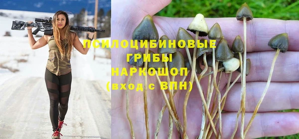 ешки Абинск