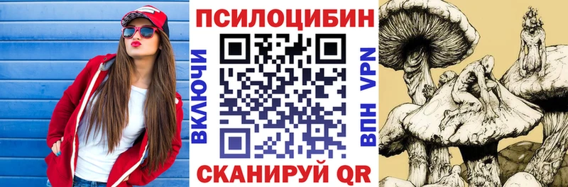 Псилоцибиновые грибы Psilocybine cubensis продажа наркотиков Алагир